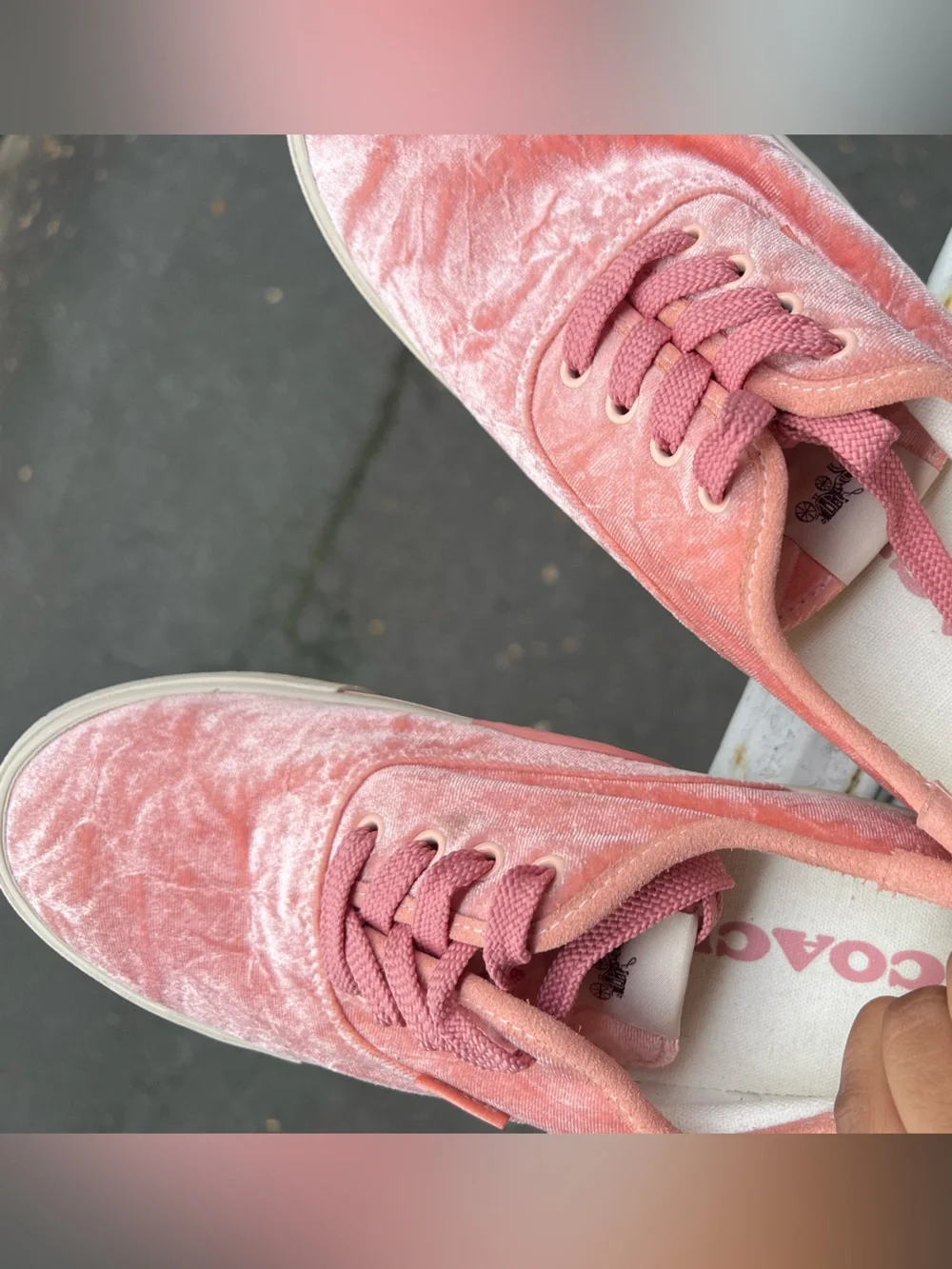 Coach Women’s Pink Velvet Lace-Up Sneakers Size 8